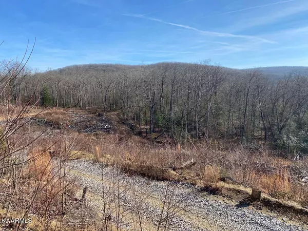 Smith Mountain Rd, Crab Orchard, TN 37723