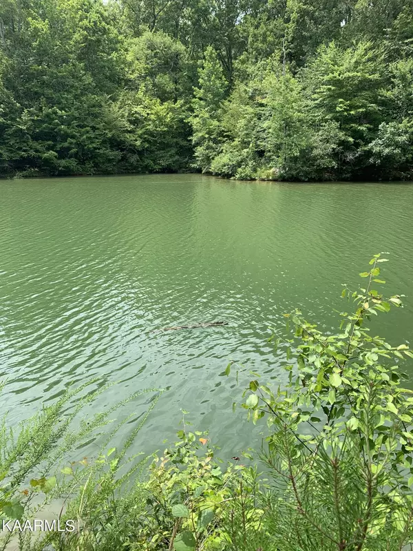 Ten Mile, TN 37880,Waterfront WAY