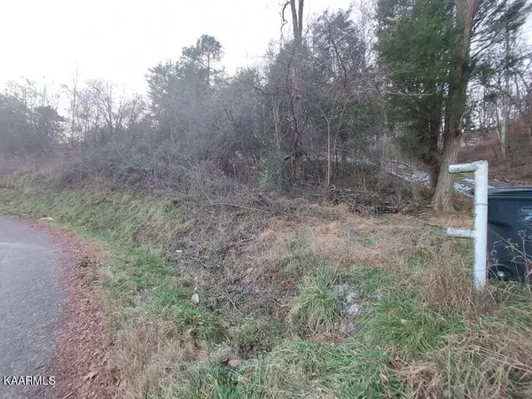 Morristown, TN 37814,2.5 Acres Tom Treece Rd