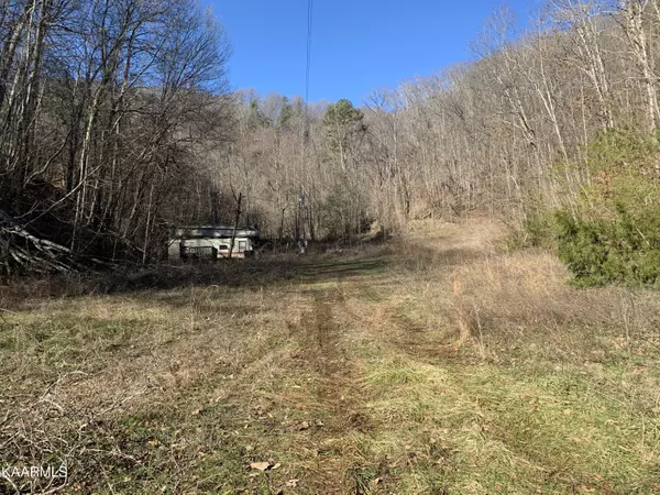 Parrottsville, TN 37843,2346 Happy Hollow Rd