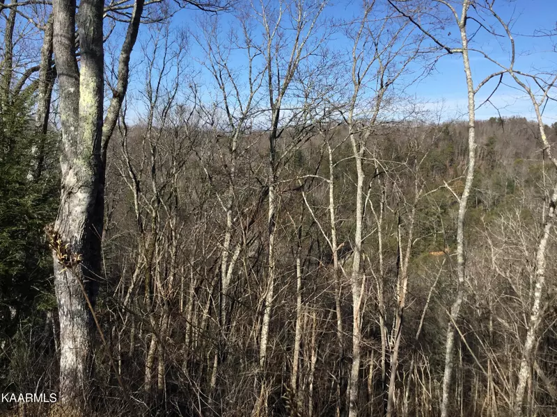 Lot 261 Ski View LN, Sevierville, TN 37876