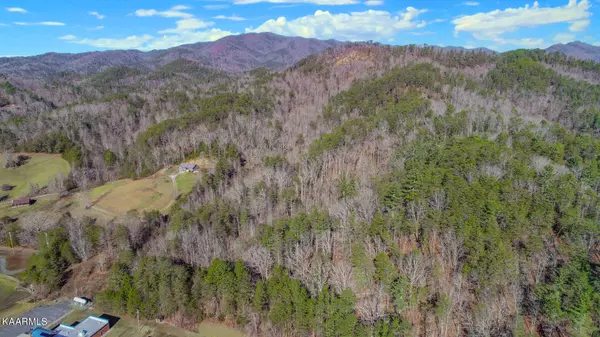 Del Rio, TN 37727,472 Highway 107