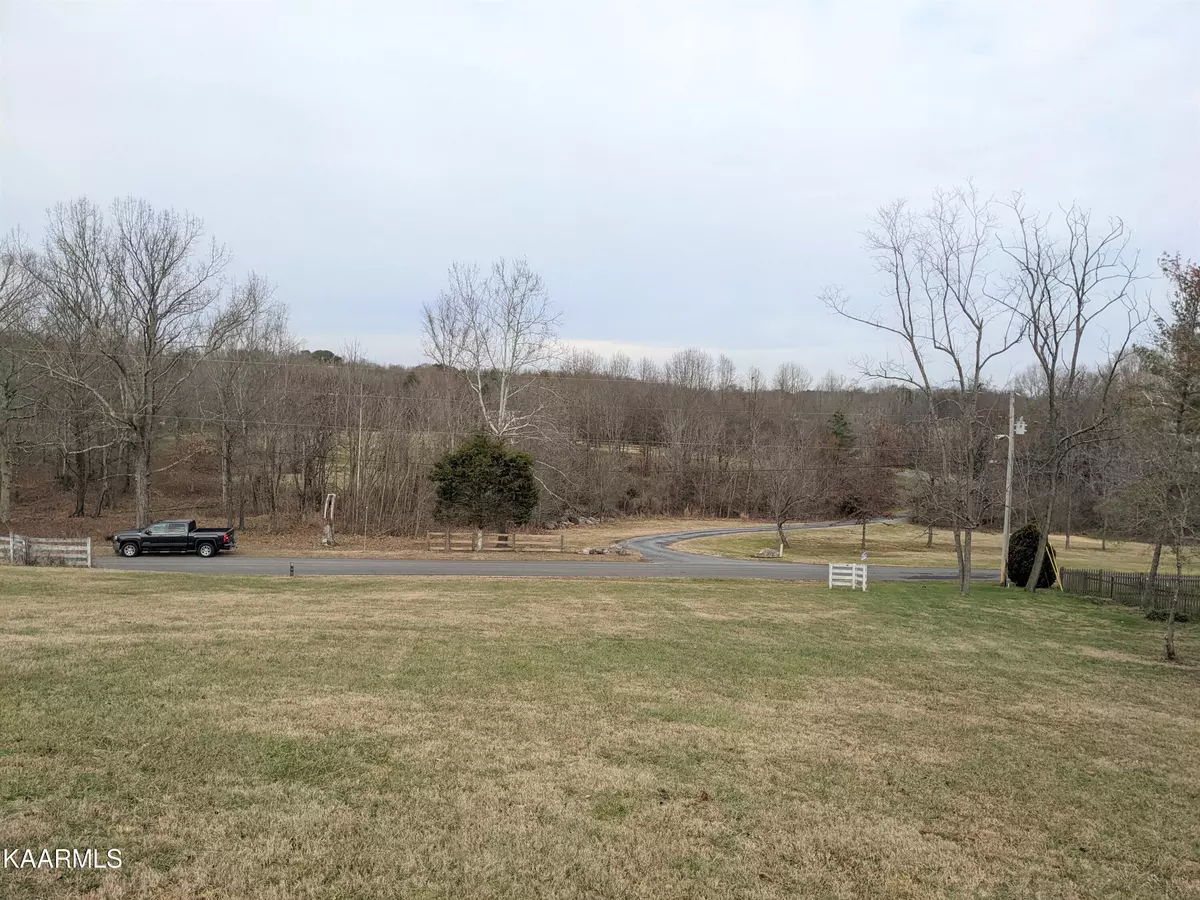 Baneberry, TN 37890,Lot 1 Mountain View Ln