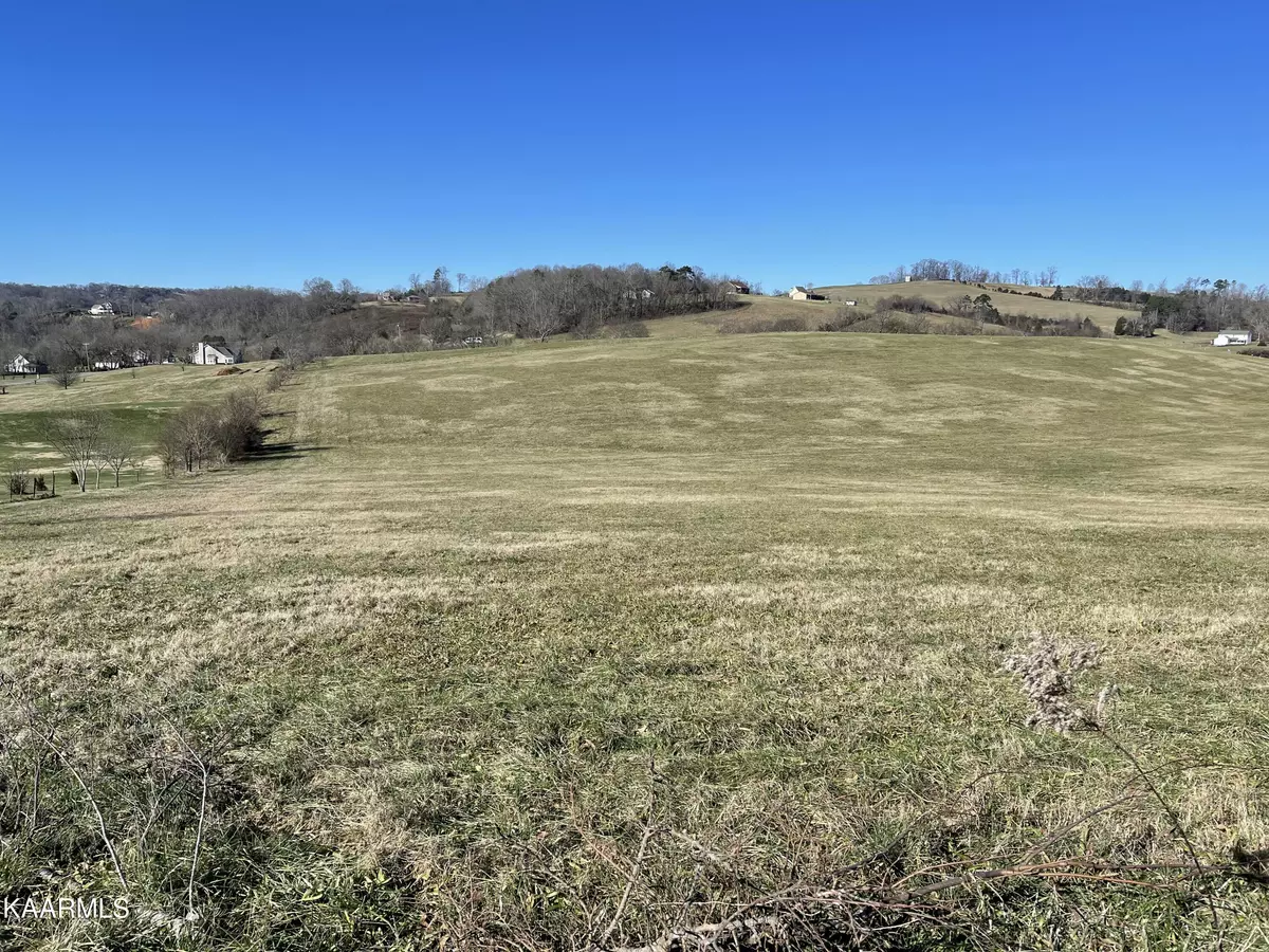 Rutledge, TN 37861,Lot 317 Howell River Rd