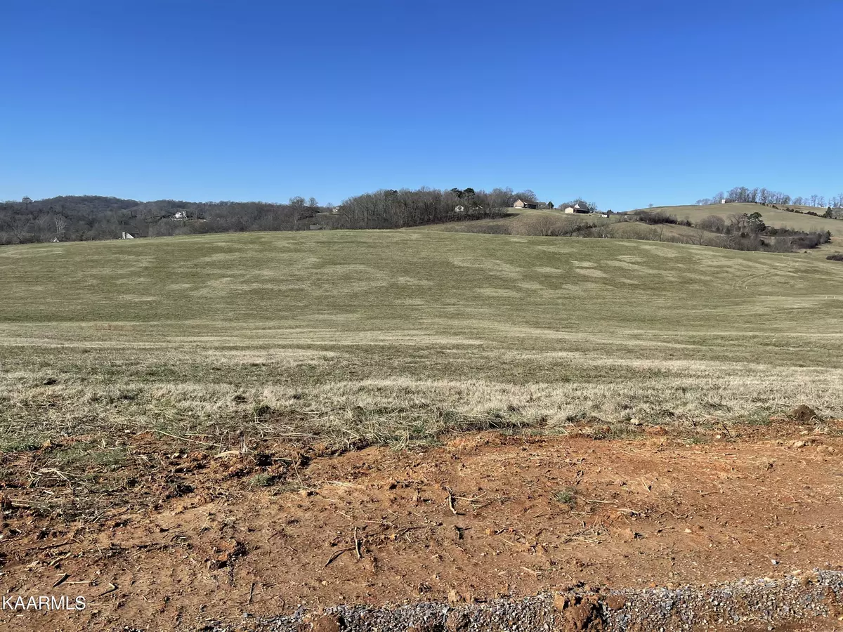 Rutledge, TN 37861,Lot 316 Howell River Rd