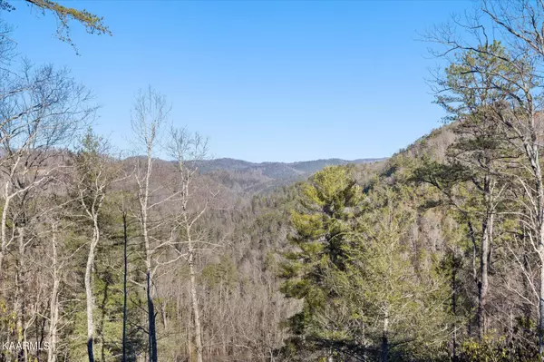 Sevierville, TN 37862,2438 Hickory Knoll LN