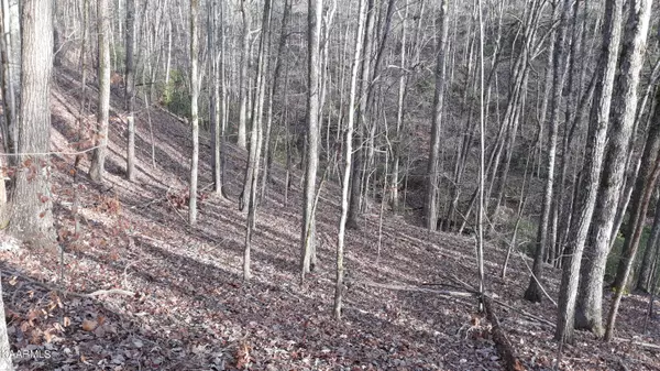 Rockwood, TN 37854,Lot #459, Crystal Springs Road Rd