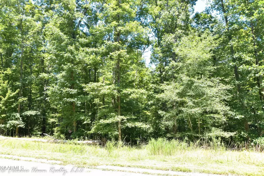 Lt. 13 Eagle Ridge Rd, Rockwood, TN 37854