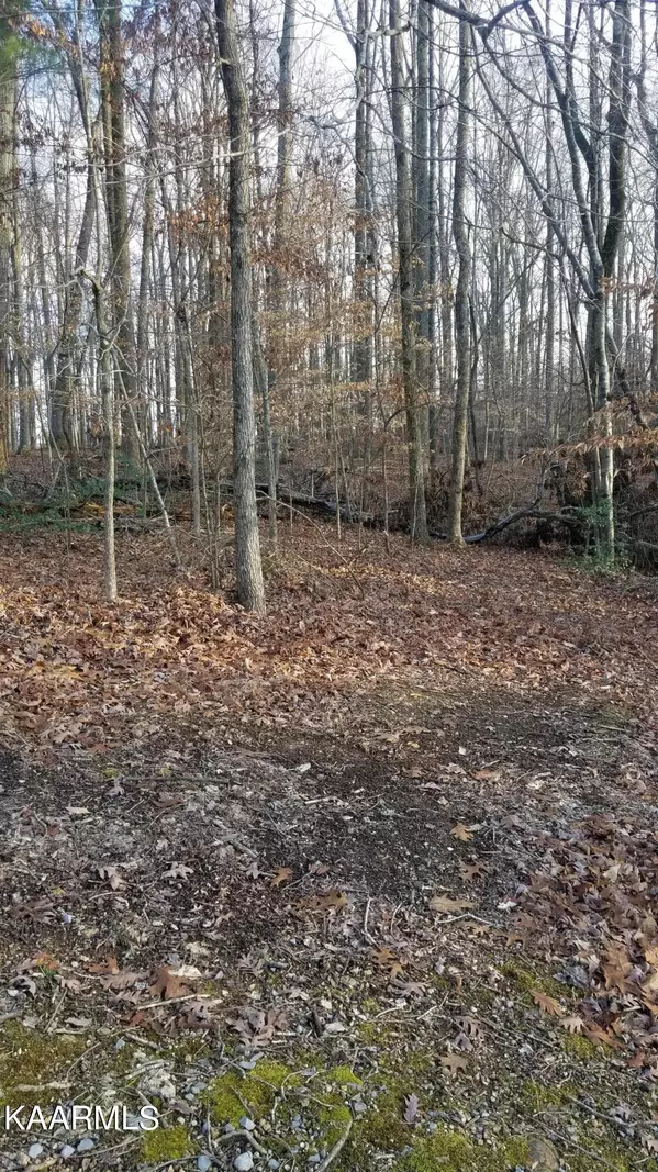 Spring City, TN 37381,Lot 30 Dogwood Drive