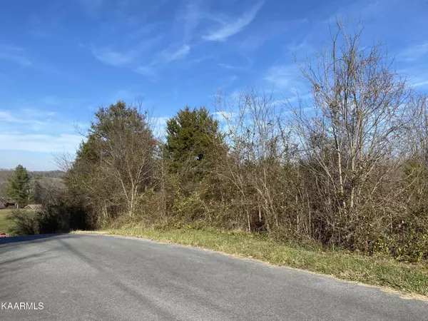 Bonnie View DR, Seymour, TN 37865