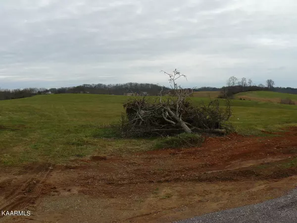 Rutledge, TN 37861,Lot 71 Howell River Rd