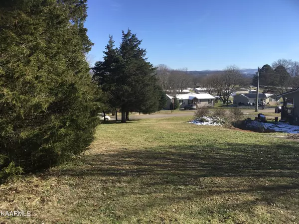 Tellico Plains, TN 37385,scenic CIR