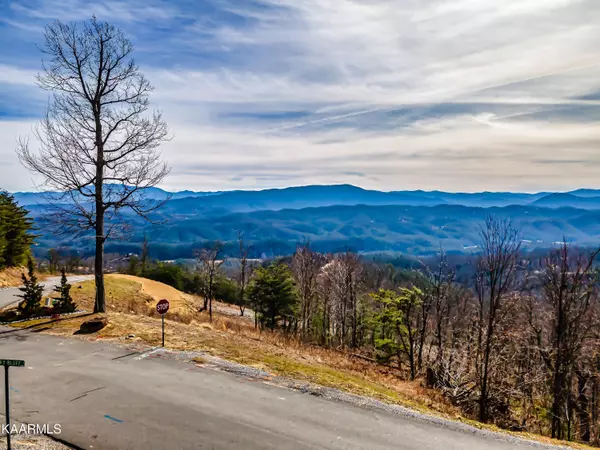 Sevierville, TN 37862,Lot 63 Summit Trails DR