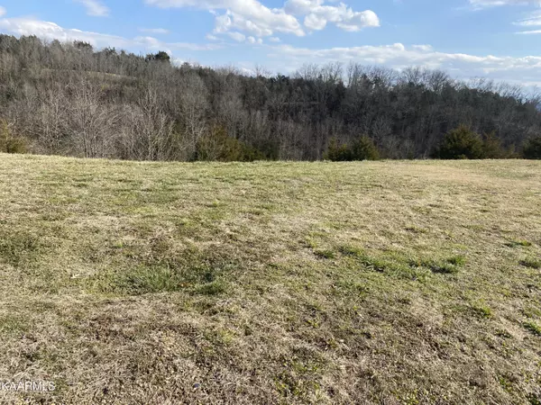 Newport, TN 37821,Lot 13R Aqua Vista WAY