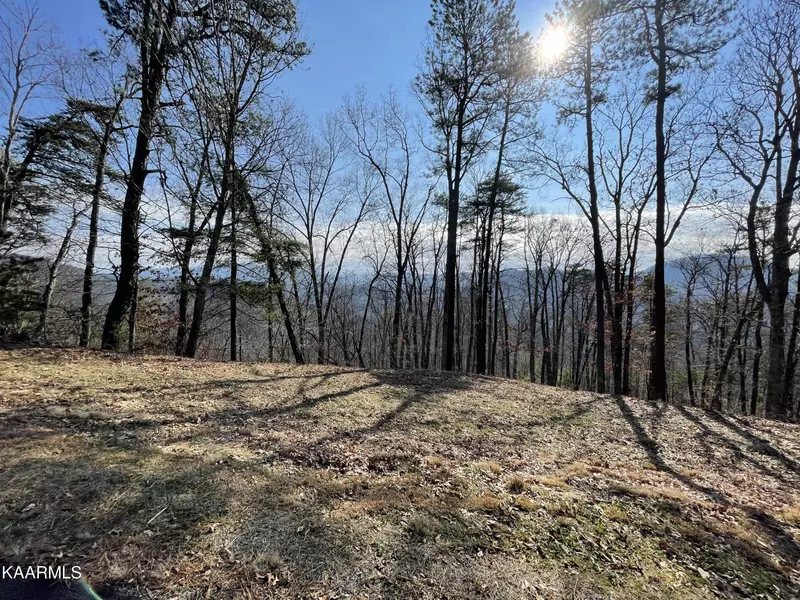 Lot 68-W Longhunter LN, Sevierville, TN 37862