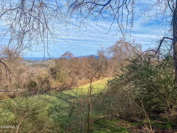 Sevierville, TN 37862,Majestic View Way Lot #3