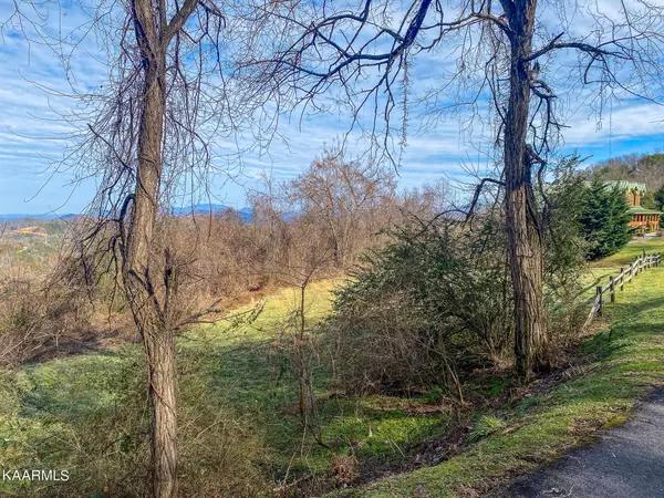 Sevierville, TN 37862,Majestic View Way Lot #3