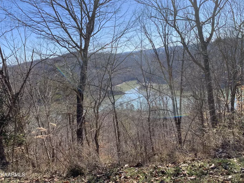 Lot 83 Ridgecrest Rd, New Tazewell, TN 37825