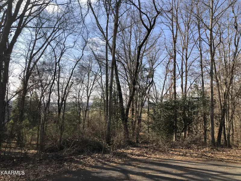 Lot 5 Rustic DR, Newport, TN 37821