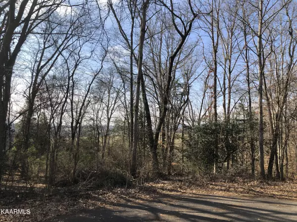 Lot 5 Rustic DR,  Newport,  TN 37821