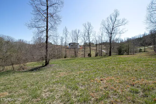 Madisonville, TN 37354,101 Clearwater Cove DR
