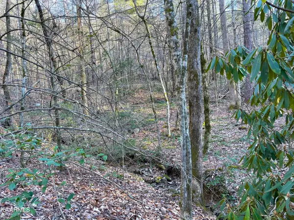 Del Rio, TN 37727,2.45 ac Cougar Trail