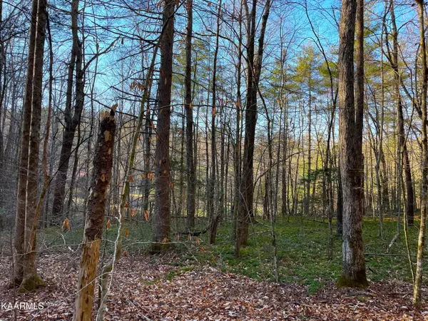 Del Rio, TN 37727,2.45 ac Cougar Trail