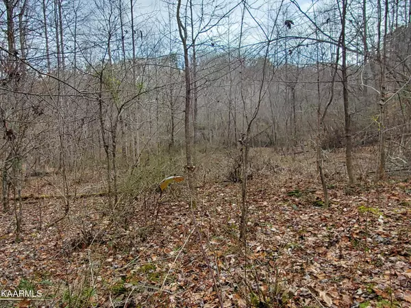 Seymour, TN 37865,Dripping Springs Rd