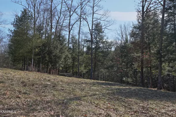 Lot 163 Crouch Branch, Allardt, TN 38504