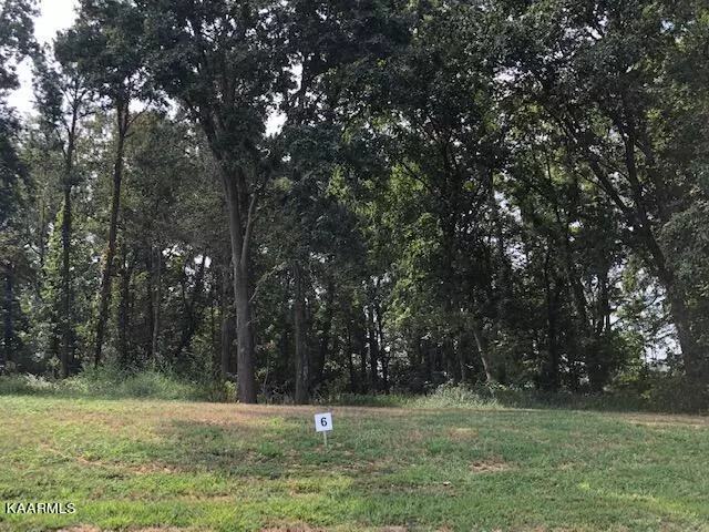 LOT 6 FAIRWAY DR, Dandridge, TN 37725