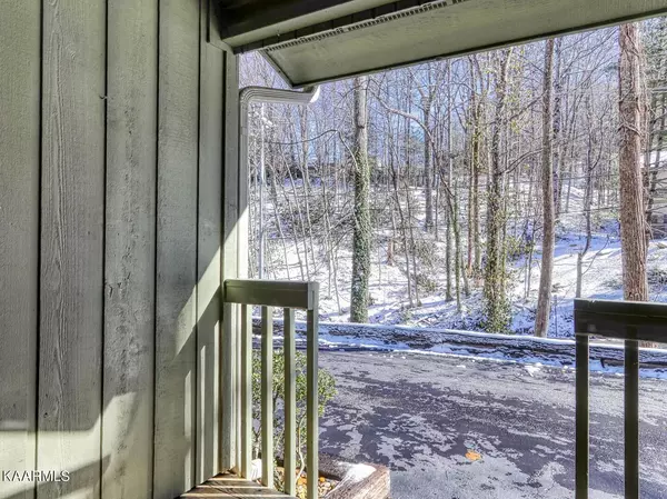 Gatlinburg, TN 37738,1228 Ski Mountain Road ##2