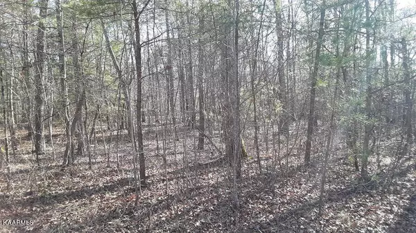 Jamestown, TN 38556,Lot 14 Clear Fork Rd