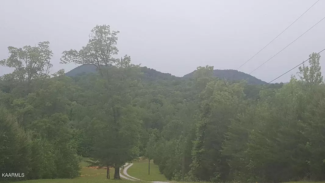 Williams Rd, Tellico Plains, TN 37385