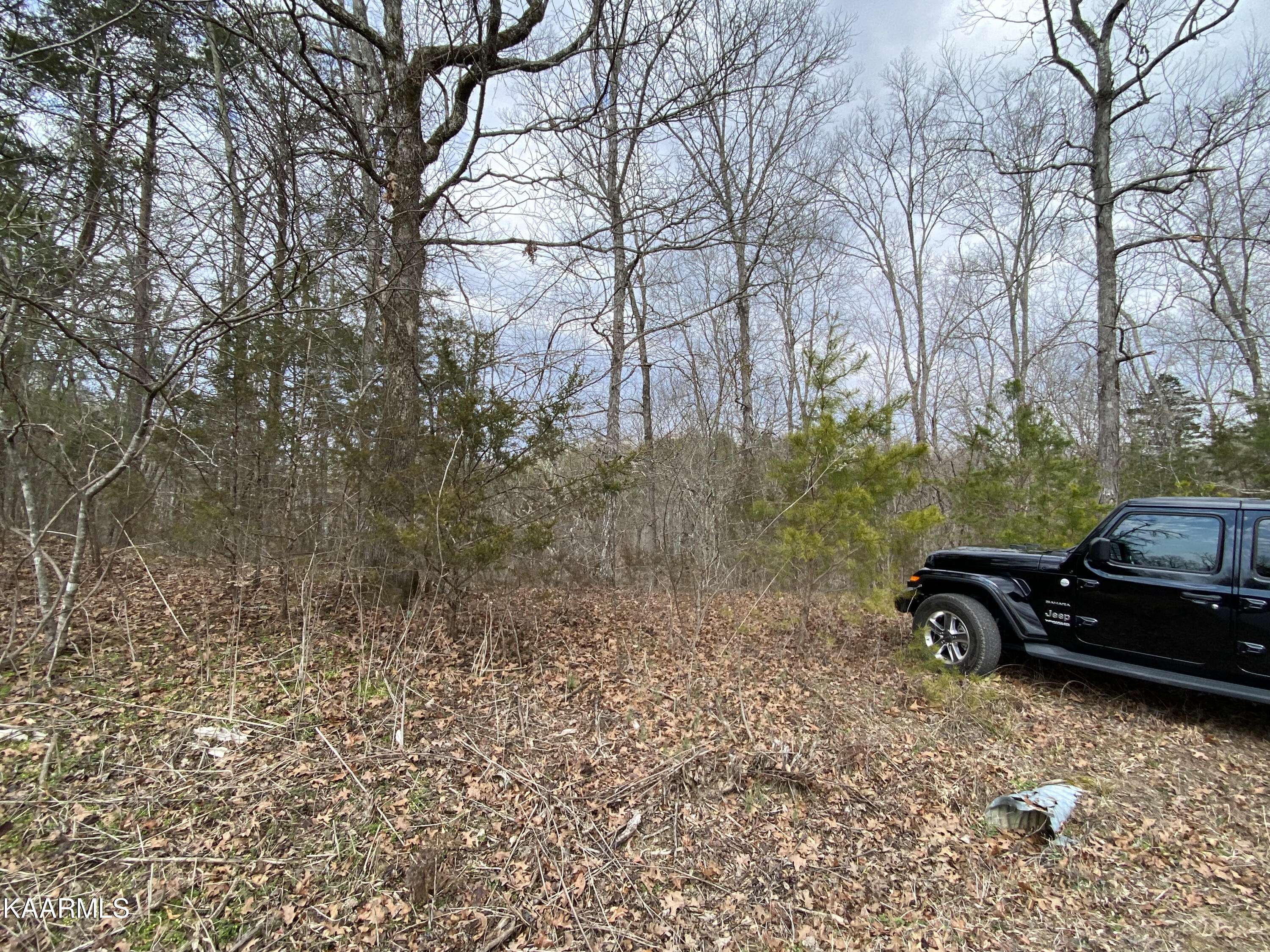 Sevierville, TN 37876,Pleasure Rd