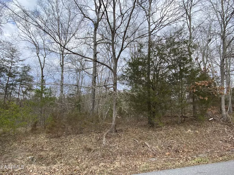 Pleasure Rd, Sevierville, TN 37876