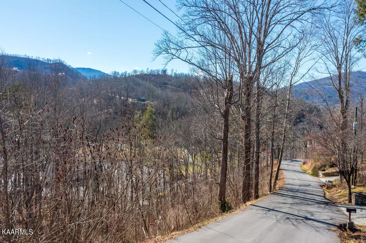 Gatlinburg, TN 37738,Brownsridge Rd