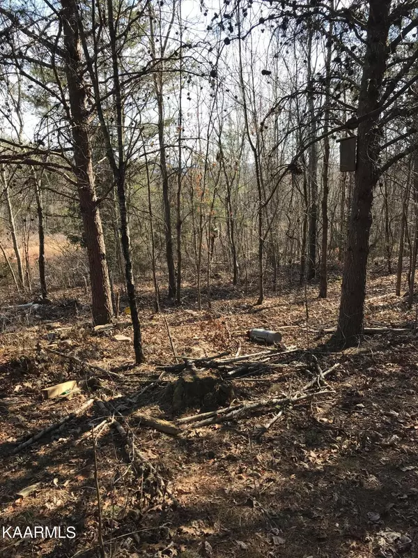 Tellico Plains, TN 37385,Lot 3 Curtis Rd