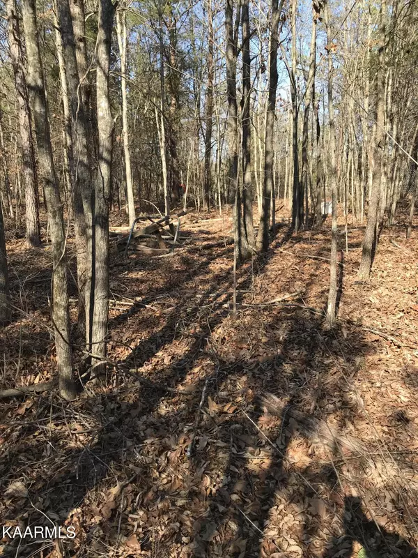 Tellico Plains, TN 37385,Lot 3 Curtis Rd