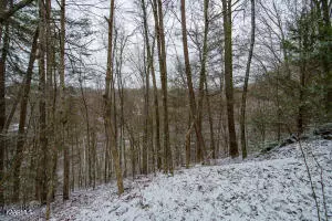 Sevierville, TN 37876,Lot 351A Rose CT