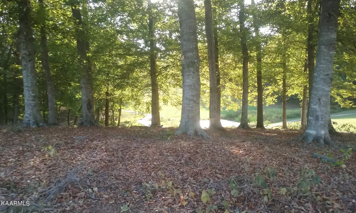 Baneberry, TN 37890,Lot 2093 Deer Creek Trail