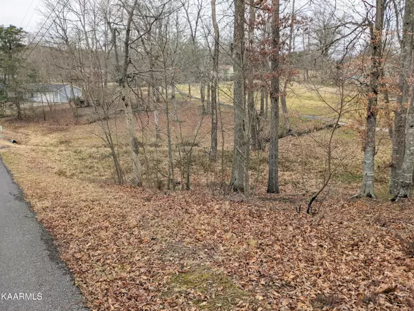 Baneberry, TN 37890,Lot 2093 Deer Creek Trail