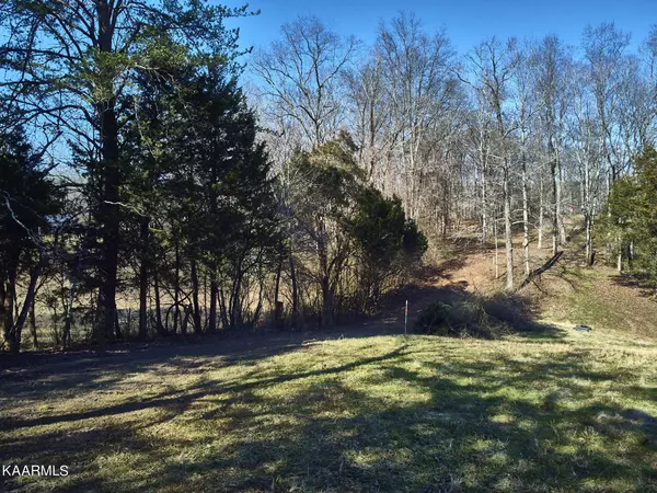 Ten Mile, TN 37880,0 Dogtown Road