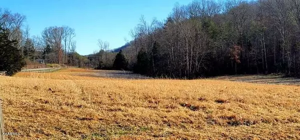 Tellico Plains, TN 37385,00 Reagan Valley Road