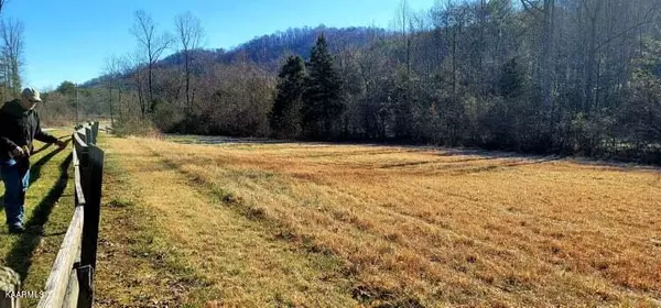 Tellico Plains, TN 37385,00 Reagan Valley Road