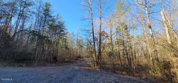 Tellico Plains, TN 37385,00 Reagan Valley Road