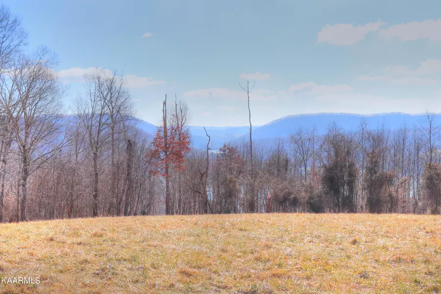 Lot 460 Smokey Quartz Blvd, New Tazewell, TN 37825