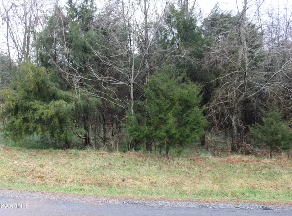 Vonore, TN 37885,Lot 11 Sikwa Trail