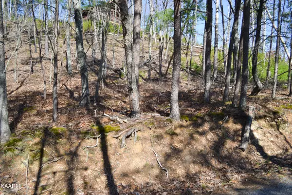 Sevierville, TN 37862,Huckleberry Way WAY