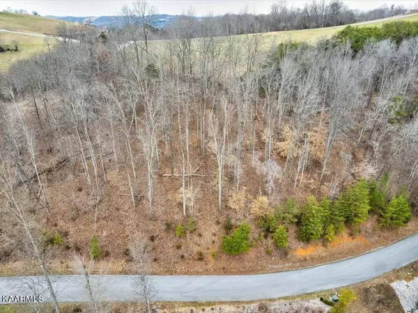 New Tazewell, TN 37825,Lot 455 Silver Tr