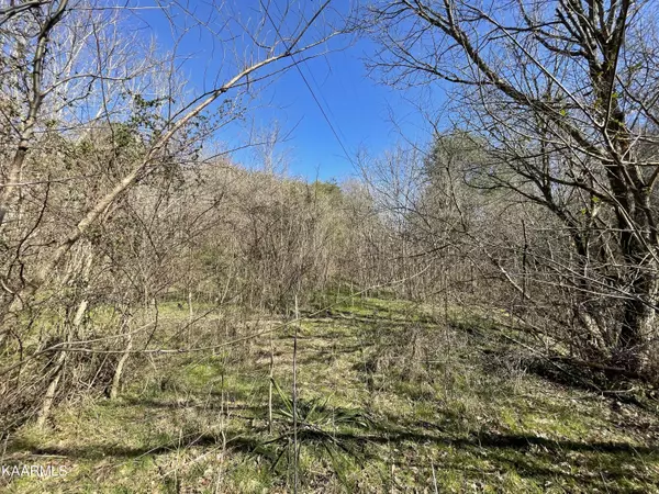 15.83acres Highway 160, Newport, TN 37821